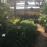 Whitfill Nursery Camelback East Phoenix Az Photo Taken At Whitfill Nursery By Ginger L On 4 15 2016