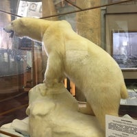 Photo taken at Arctic and Antarctic Museum by Larisa A. on 9/17/2021