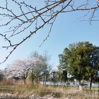 Photo taken at 水城公園 by はえ太 on 4/7/2024