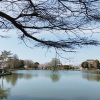 Photo taken at 水城公園 by はえ太 on 4/7/2024