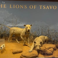 Photo taken at The Man-Eaters Of Tsavo by Jason N. on 7/28/2022