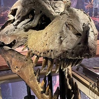 Photo taken at Sue The T. Rex by Jason N. on 7/28/2022