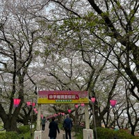 Photo taken at Gongendo Sakura Tsutsumi by 徒労 on 4/12/2024