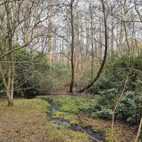 Sutton Coldfield Park - 2 tips