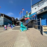 Photo taken at Aquarium of the Bay by Blue H. on 7/26/2023