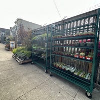 Photo taken at Sloat Garden Center by Blue H. on 10/20/2022