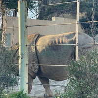 Photo taken at Black Rhino/Nile Hippo Exhibit by Blue H. on 2/19/2022