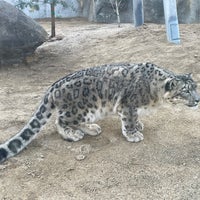Photo taken at Snow Leopard by Blue H. on 2/19/2022