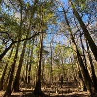 Photo taken at Congaree National Park by Jessalyn C. on 10/30/2020