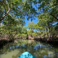 Foto scattata a Parque Nacional Los Haitises da Jessalyn C. il 2/7/2021