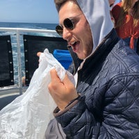Photo taken at San Diego Whale Watch by Jessalyn C. on 3/24/2019