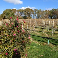 Foto diambil di Cape May Winery &amp;amp; Vineyard oleh Jane M. pada 11/13/2022