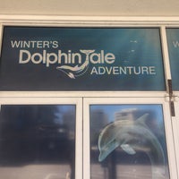 Снимок сделан в Winter&amp;#39;s Dolphin Tale Adventure пользователем Erin W. 10/2/2016