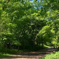 Photo taken at Theodore Roosevelt Island by Hawra on 4/23/2023