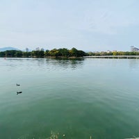 Photo taken at Ohori Park by nozomi326 on 4/6/2024