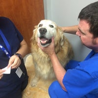 Photo taken at Gulf Coast Veterinary Specialists by Arlene H. on 7/24/2015