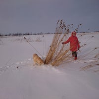 Photo taken at Форт 2-й Северный by Igor L. on 2/23/2018