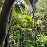 Photo taken at Royal Botanic Gardens by Piper C. on 2/21/2024