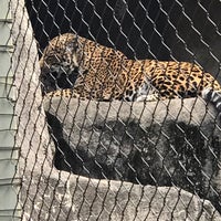 Photo taken at Jaguars Habitat by Jim C. on 11/22/2016