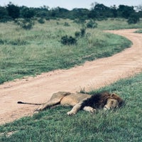 Photo taken at Kruger National Park by Abdullah 🇸🇦 on 4/13/2024