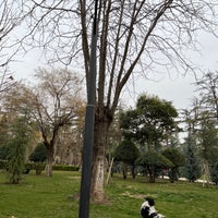 Photo taken at Kikvidze Park | კიკვიძის ბაღი by Jameel on 4/1/2022