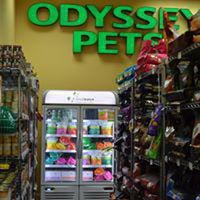10/30/2020 tarihinde user481191 u.ziyaretçi tarafından Odyssey Pets'de çekilen fotoğraf