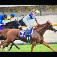 Photo taken at Tokyo Racecourse by 濱岸メトロ on 5/12/2024