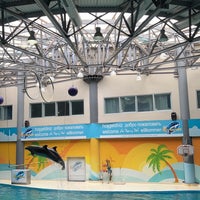 Photo taken at Dolphinarium by A on 8/13/2023