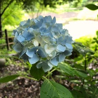 Photo taken at 新城総合公園 by mouming on 6/13/2020
