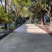 Photo taken at Camellón Mazatlán by A1ekx on 2/21/2021