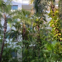 6/2/2023 tarihinde Mocte S.ziyaretçi tarafından The Palm At Playa'de çekilen fotoğraf