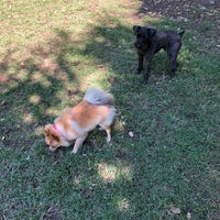 Photo taken at Wattles Dog Park by Jaclyn B. on 10/17/2018