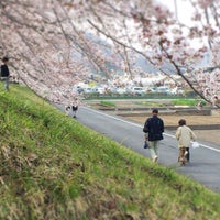 羽村市水上公園 Pool In 羽村市