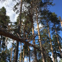 Photo taken at Тольяттинский лес by Анна Г. on 8/26/2018