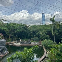 Review Perdana Botanical Garden (Taman Tasik Perdana)