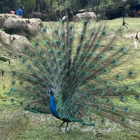 Review Perdana Botanical Garden (Taman Tasik Perdana)