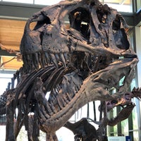 Photo taken at The Witte Museum by Mike O. on 1/4/2021