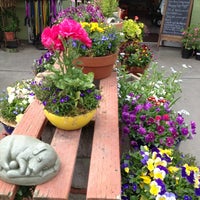 The Garden Company Nursery Gift Shop Westside 2 Tips From 83 Visitors