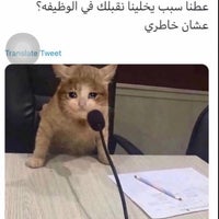 Stc Channels شركة قنوات الإتصالات السعودية Edificio Em المروج