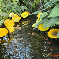 Photo taken at Garfield Park Conservatory by David S. on 12/3/2022