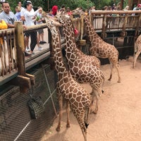 Photo taken at Cheyenne Mountain Zoo by Nick K. on 6/22/2022