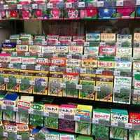 コーナン ドイト後楽園店 小石川 Toquio 東京都