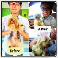 Photo taken at Doggie Grooming House by ~♥Pearl♥~ l. on 9/8/2012