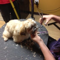Photo taken at Reliable Grooming by Michael T. on 2/12/2012
