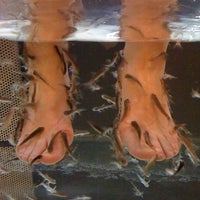รูปภาพถ่ายที่ Athens Fish Spa Massage and Hammam โดย Kyriakos M. เมื่อ 6/9/2011