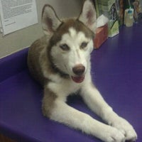 Affordable Pet Care Basse Veterinarian