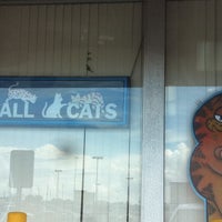 Photo taken at All Cats Veterinary Clinic by Carole G. on 7/29/2011