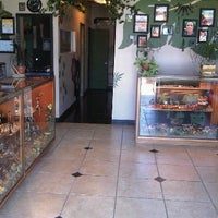 Photo taken at Ace&amp;#39;s Piercing and Modification by Gage M. on 5/26/2011