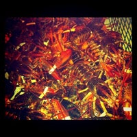 9/22/2011 tarihinde Ayannaziyaretçi tarafından Freddy&amp;#39;s Lobster &amp;amp; Clams'de çekilen fotoğraf