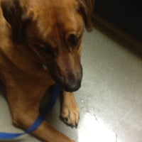 Photo taken at Mid-Peninsula Animal Hospital by Charlie A. on 1/19/2012
